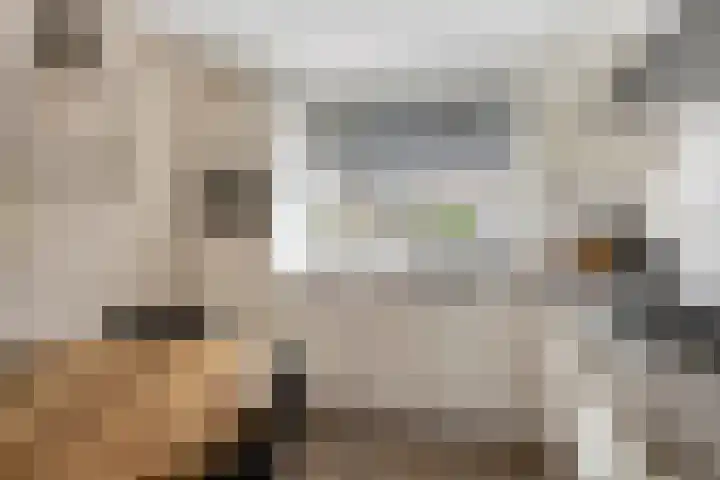 Johanna Naber-erf 514 Dordrecht thumbnail 10
