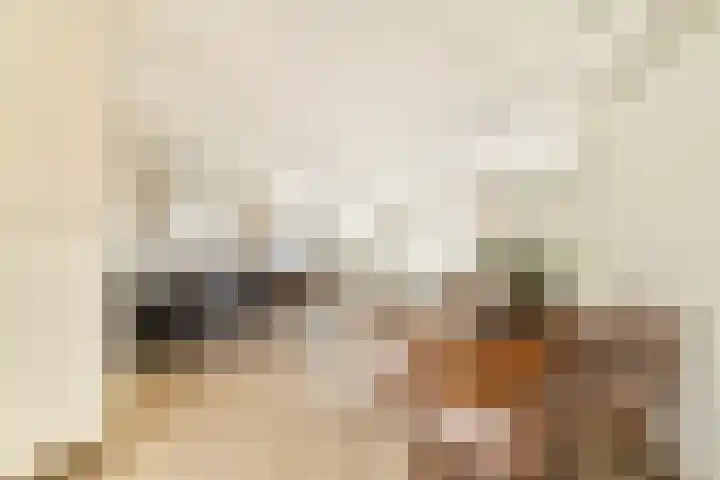 Johanna Naber-erf 522 Dordrecht thumbnail 6