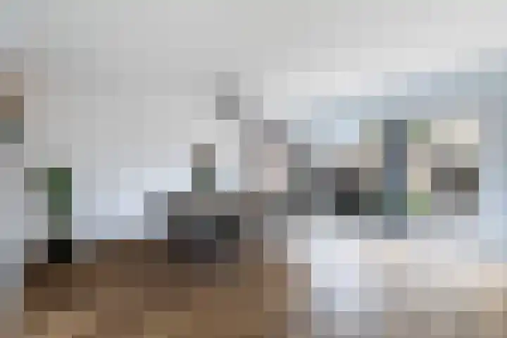 Johanna Naber-erf 554 Dordrecht thumbnail 8
