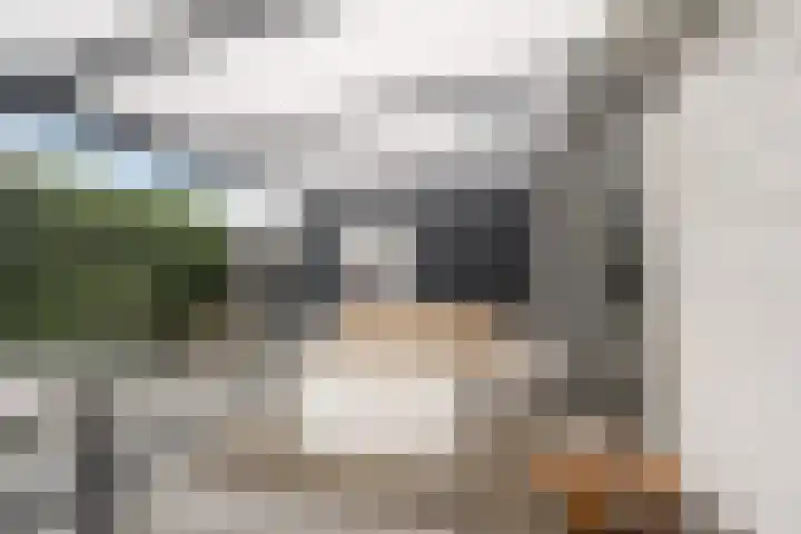 Johanna Naberkade 37 Vlaardingen thumbnail 19
