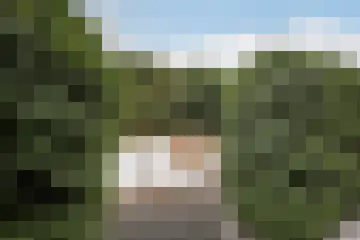 Johanna Naberkade 37 Vlaardingen thumbnail 25