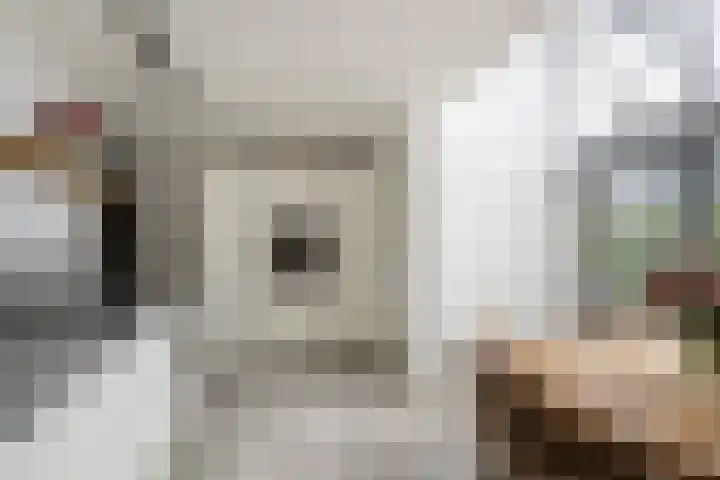 Johanna Naberkade 37 Vlaardingen thumbnail 34