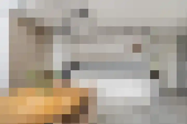 Johanna Naberkade 37 Vlaardingen thumbnail 35