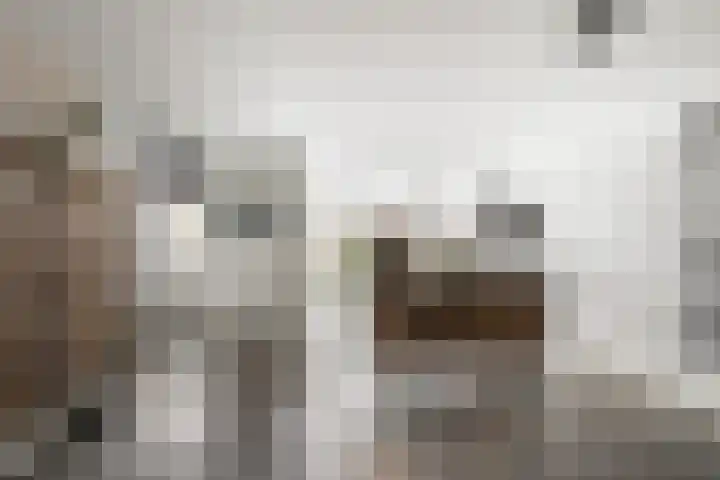 Johanna Naberkade 37 Vlaardingen thumbnail 46
