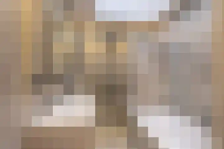 Johanna Naberkade 37 Vlaardingen thumbnail 51
