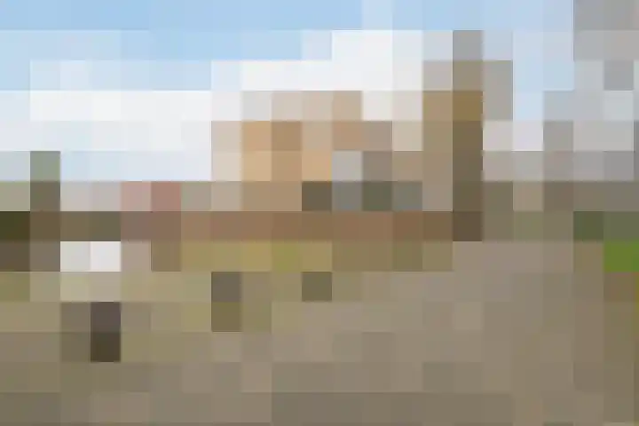 Johanna Naberkade 37 Vlaardingen thumbnail 6