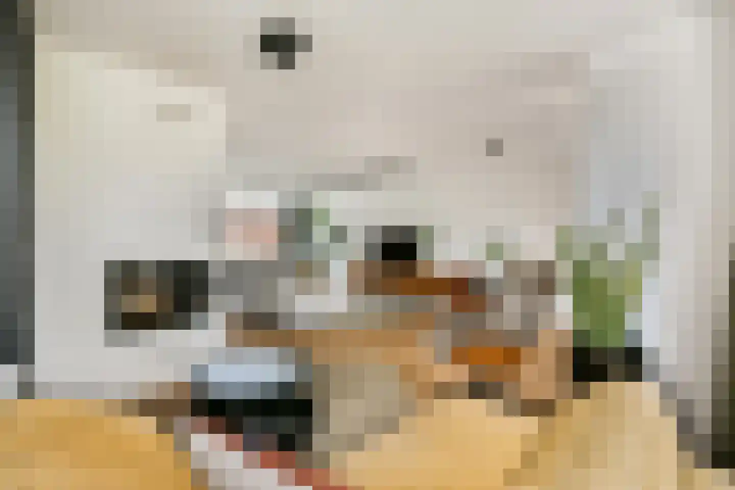 Johanna Naberkade 53 Vlaardingen thumbnail 23