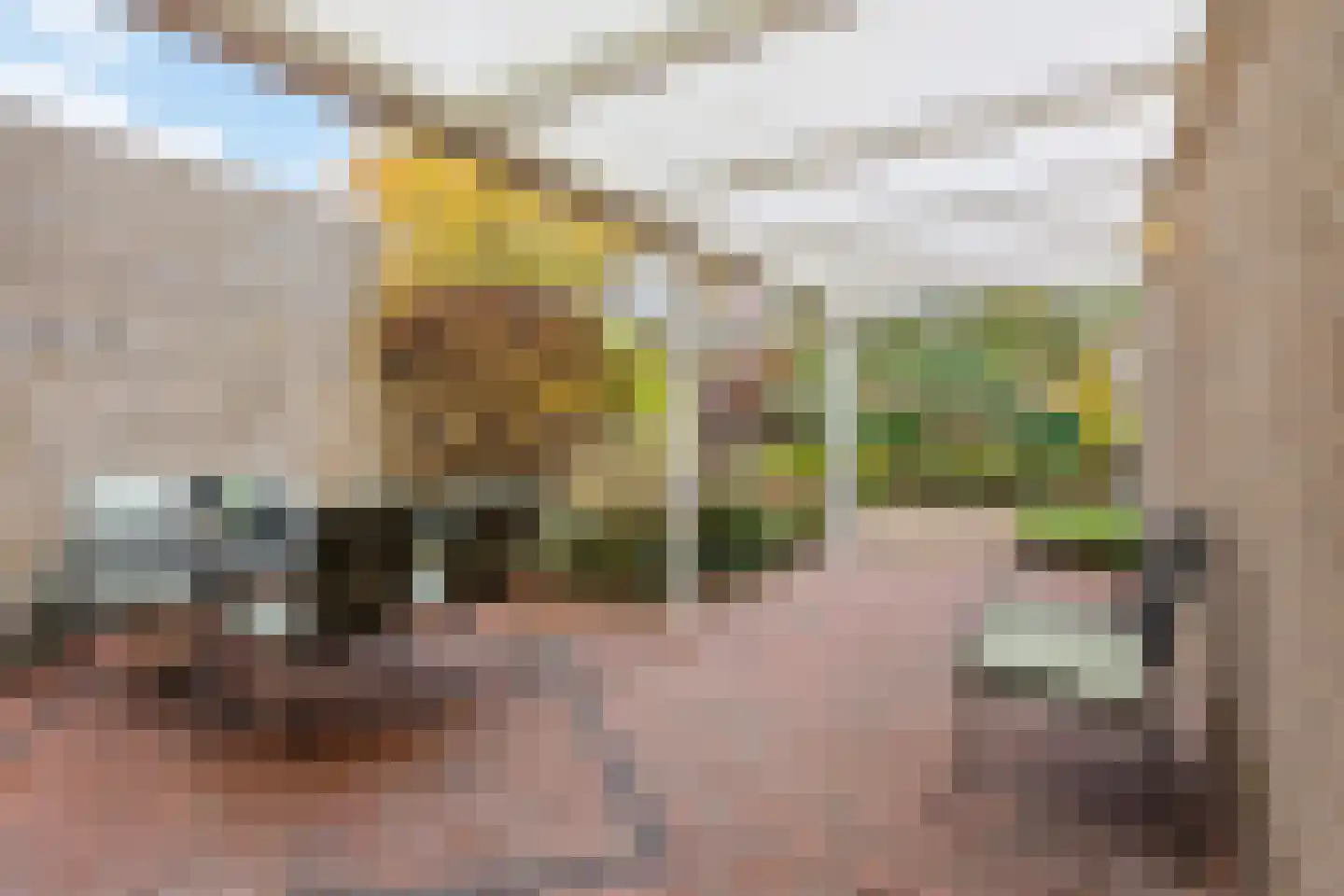Johanna Naberlanden 71 Enschede thumbnail 18