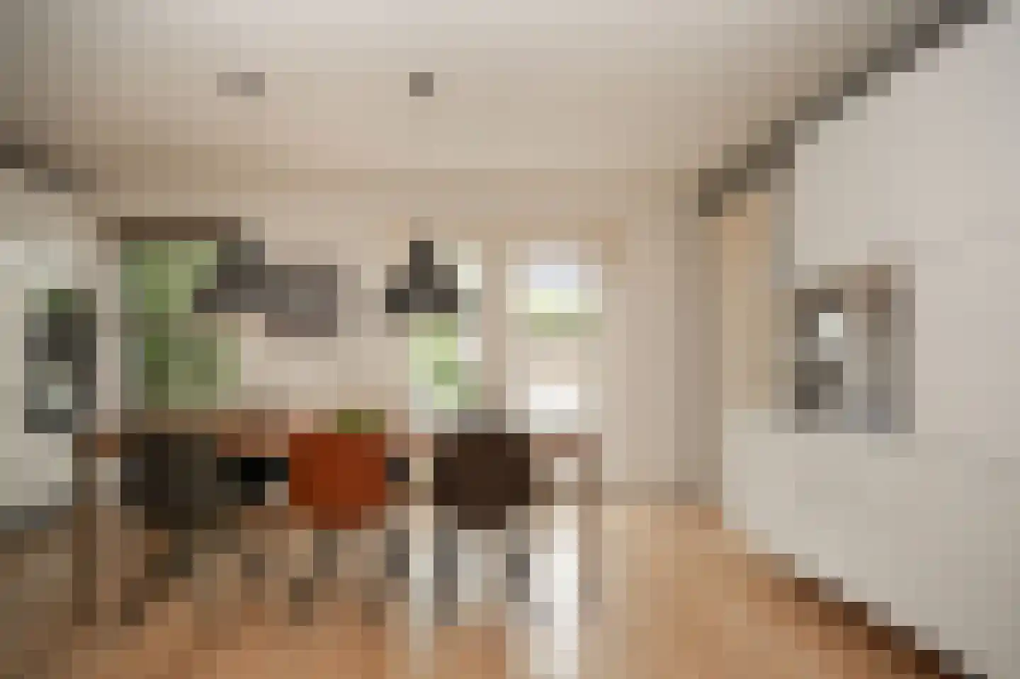 Johanna Naberstraat 119 Culemborg thumbnail 12