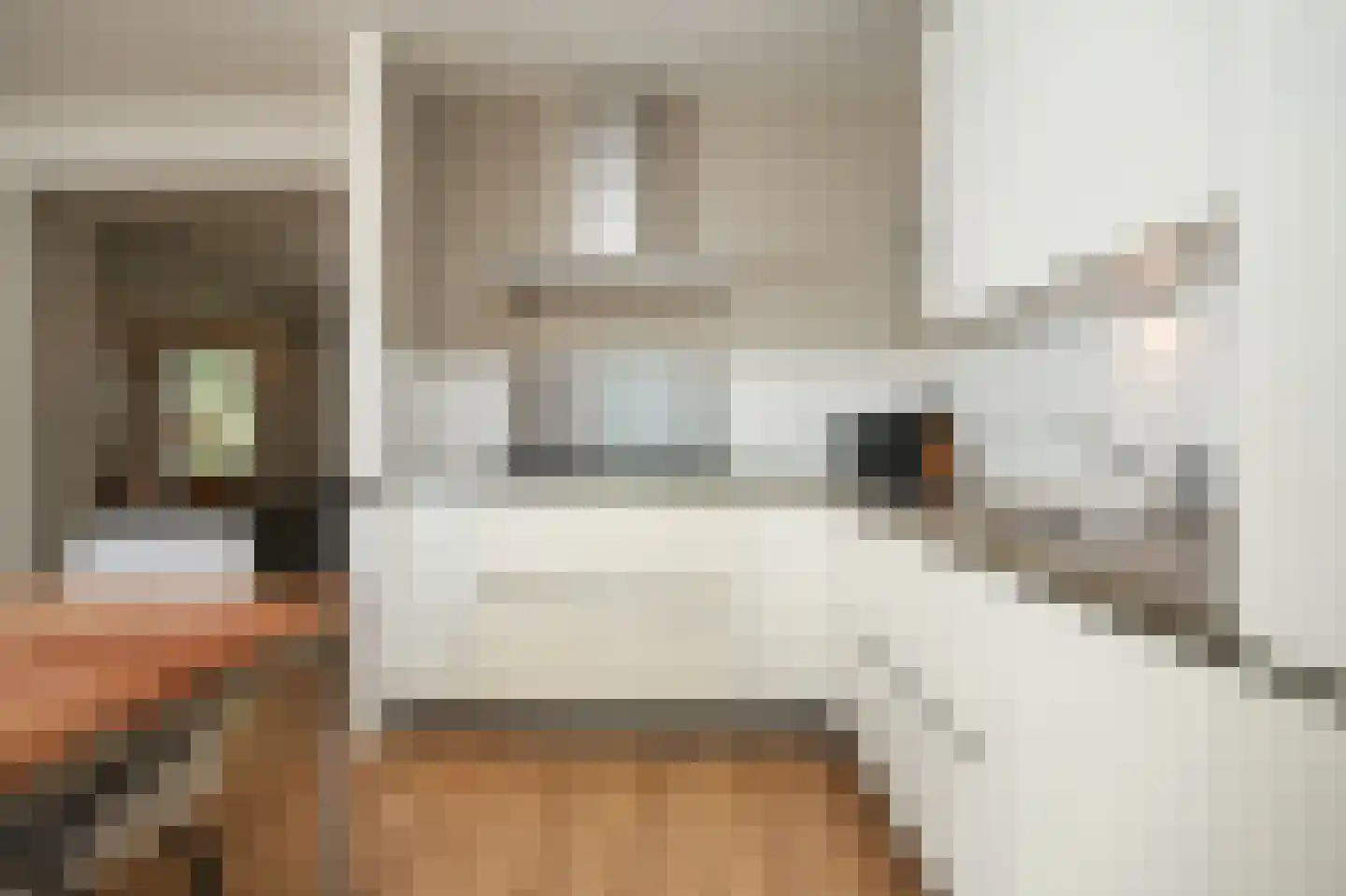 Johanna Naberstraat 119 Culemborg thumbnail 17