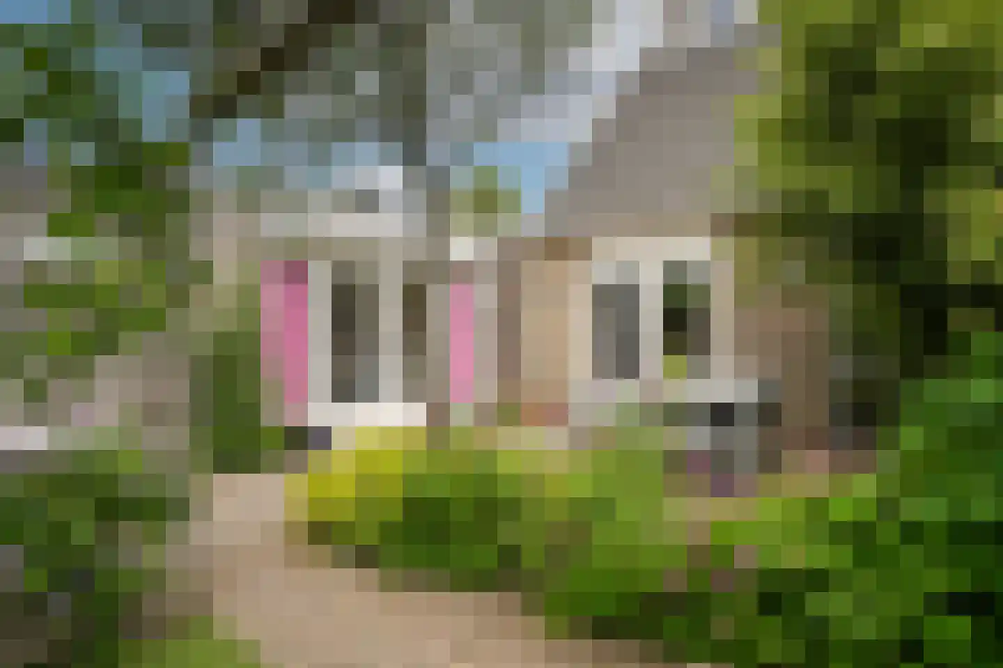 Johanna Naberstraat 119 Culemborg thumbnail 41