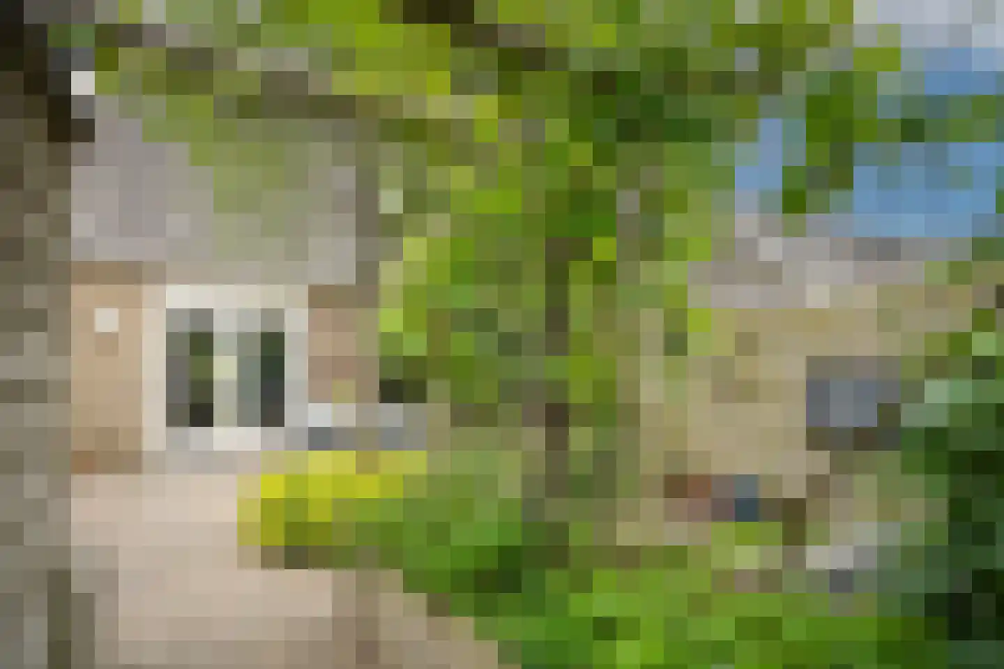 Johanna Naberstraat 119 Culemborg thumbnail 41