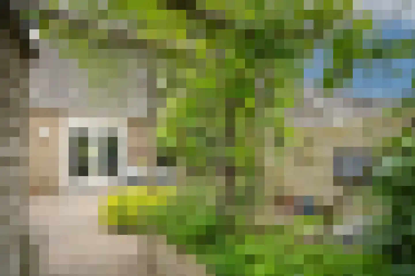 Johanna Naberstraat 119 Culemborg thumbnail 45