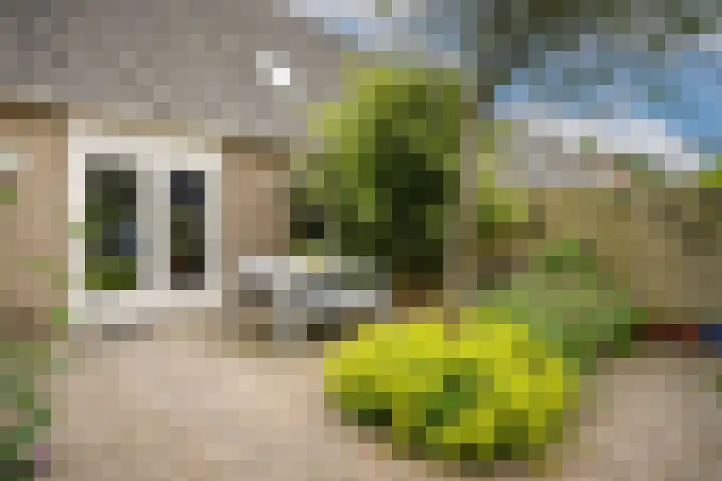 Johanna Naberstraat 119 Culemborg thumbnail 47