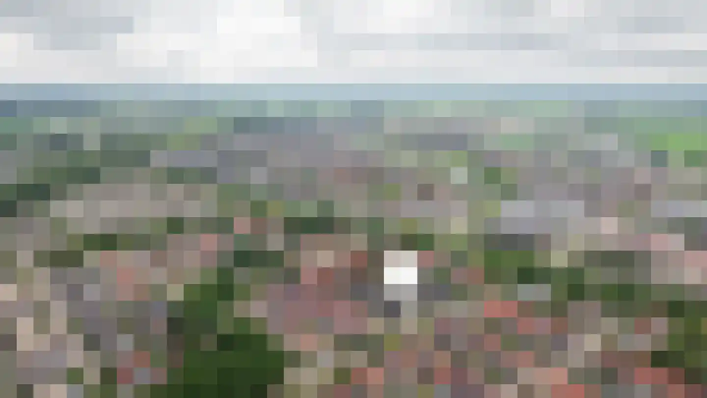 Johanna Naberstraat 119 Culemborg thumbnail 53