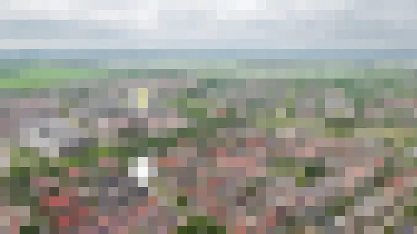 Johanna Naberstraat 119 Culemborg thumbnail 54