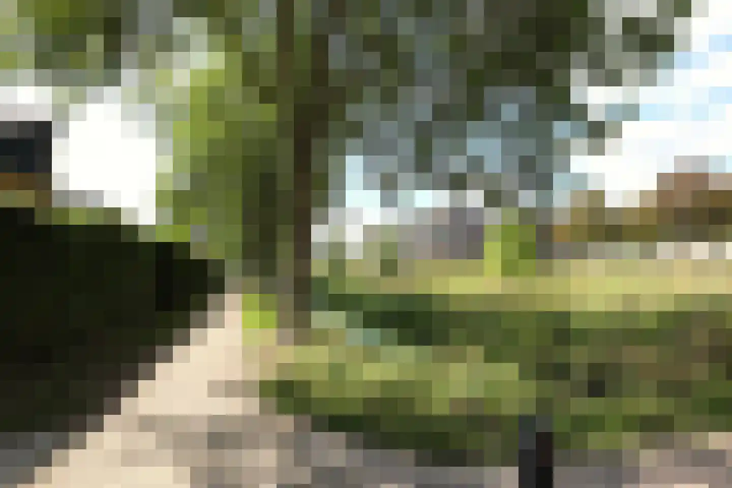 Johanna Naberstraat 119 Culemborg thumbnail 57