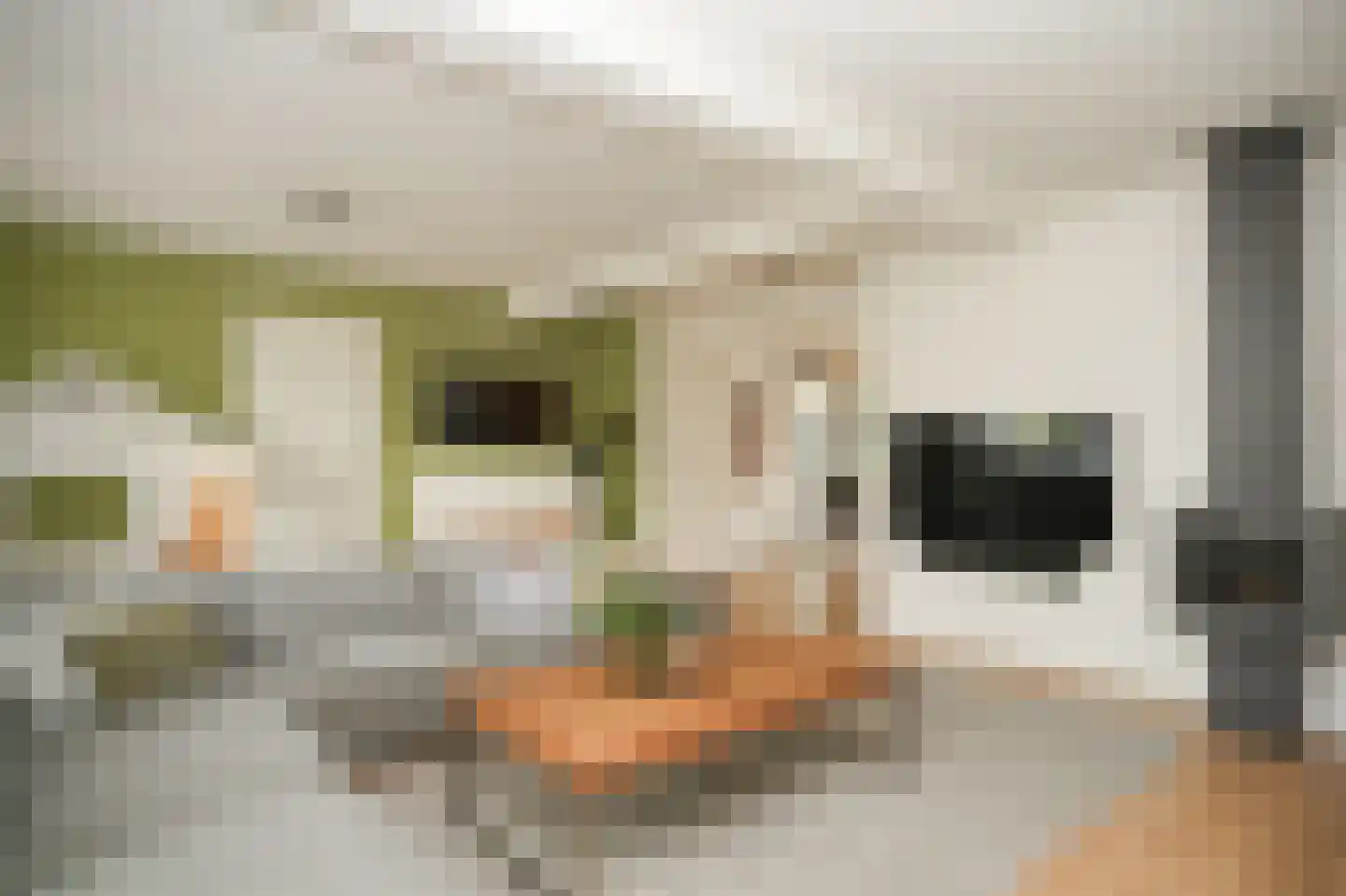 Johanna Naberstraat 119 Culemborg thumbnail 8