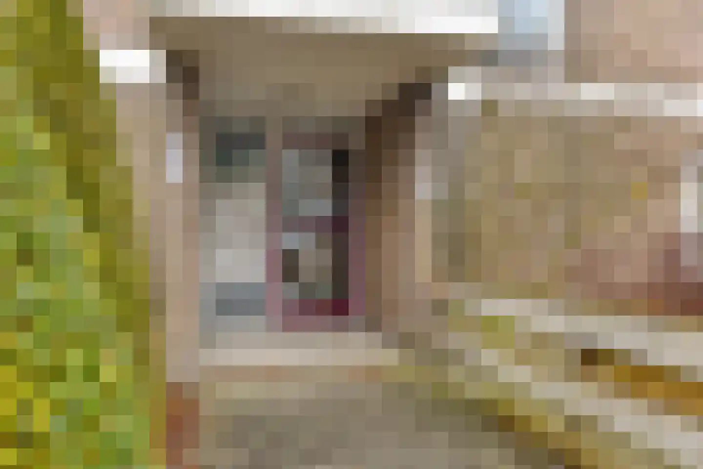 Johanna Naberstraat 126 Purmerend thumbnail 7