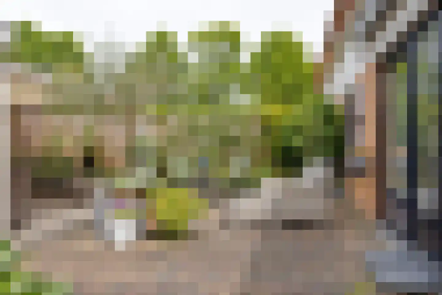 Johanna Naberstraat 13 Deventer thumbnail 35