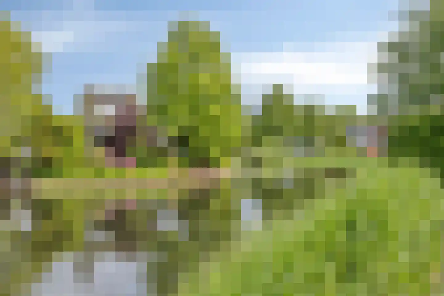 Johanna Naberstraat 13 Deventer thumbnail 38