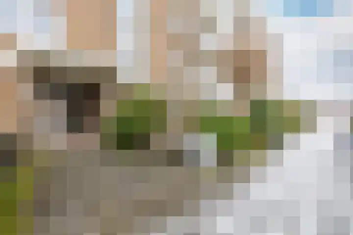 Johanna Naberstraat 132 Purmerend thumbnail 5