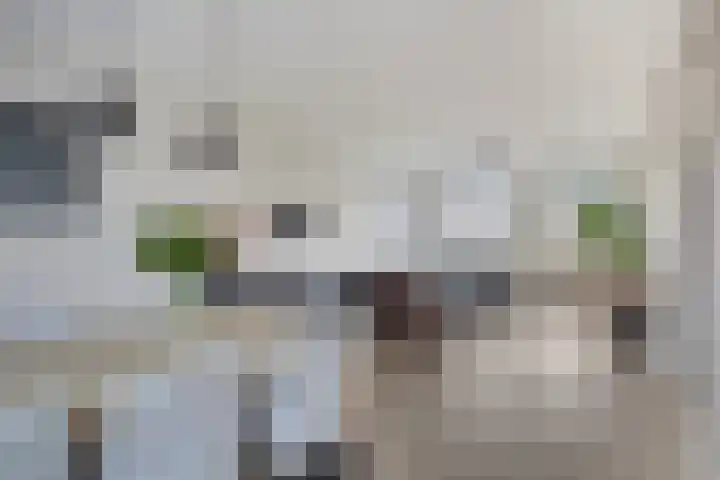 Johanna Naberstraat 134 in Purmerend