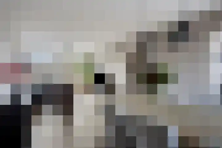 Johanna Naberstraat 134 Purmerend thumbnail 19