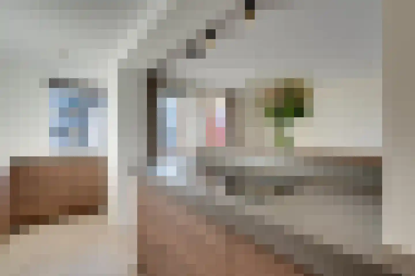 Johanna Naberstraat 150 Purmerend thumbnail 16