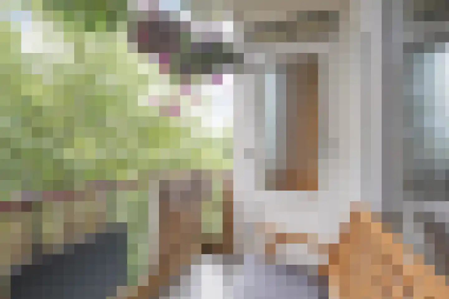 Johanna Naberstraat 158 Purmerend thumbnail 23
