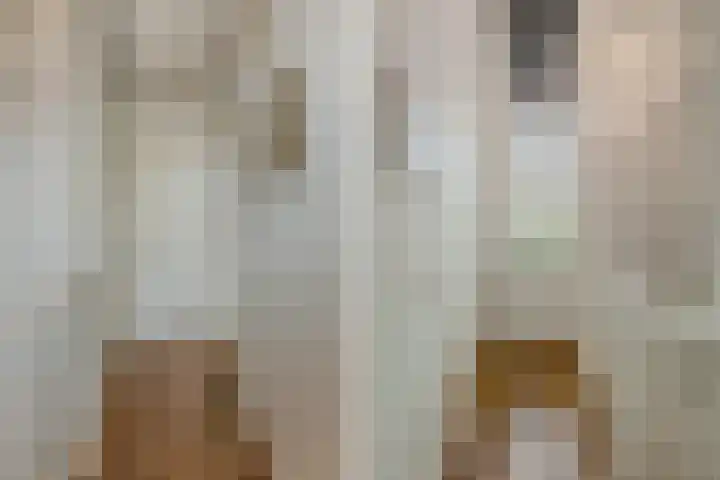 Johanna Naberstraat 16 Rijen thumbnail 24