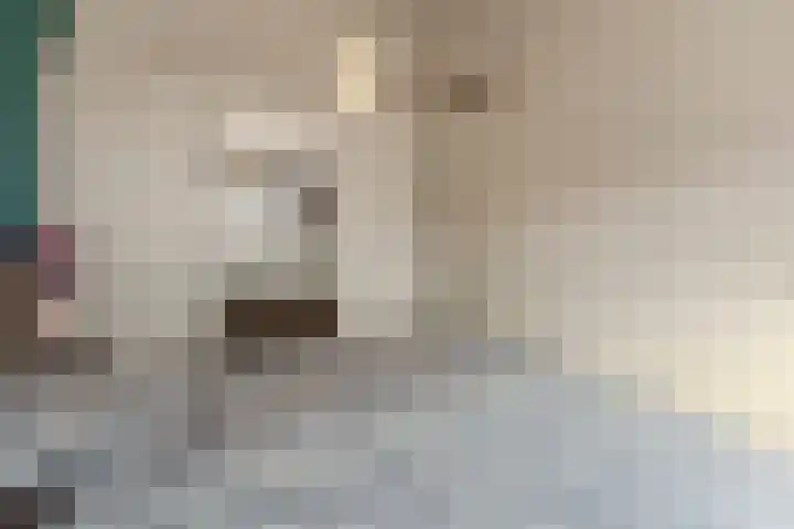 Johanna Naberstraat 16 Rijen thumbnail 28