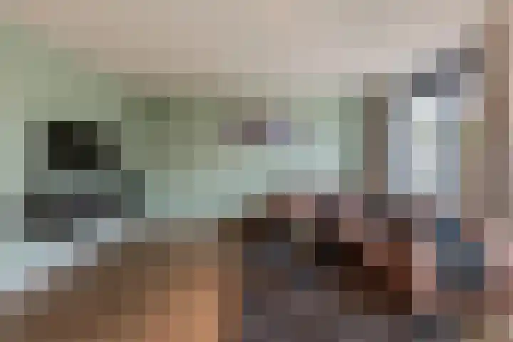 Johanna Naberstraat 16 Rijen thumbnail 8