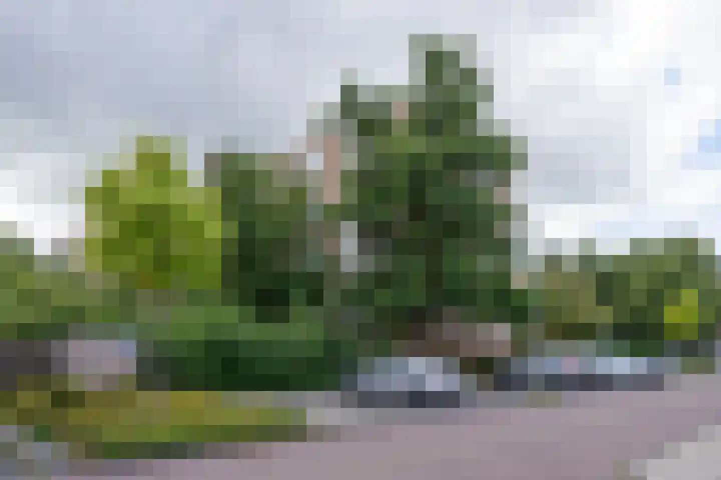 Johanna Naberstraat 160 Purmerend thumbnail 51