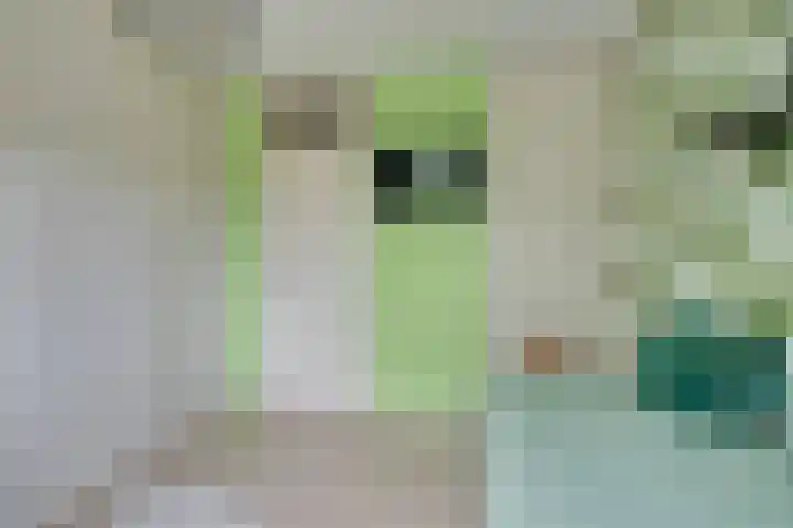 Johanna Naberstraat 168 Purmerend thumbnail 37