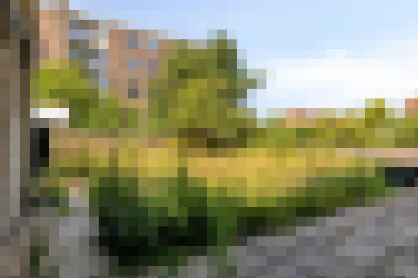 Johanna Naberstraat 172 Purmerend thumbnail 25