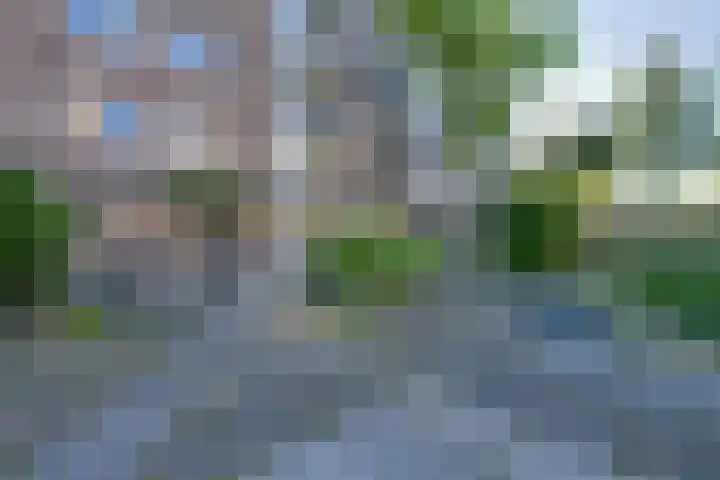 Johanna Naberstraat 190 Purmerend thumbnail 20