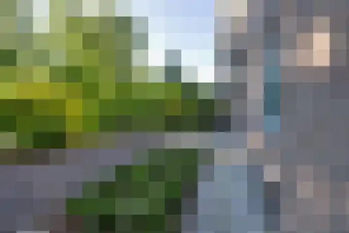 Johanna Naberstraat 190 Purmerend thumbnail 29