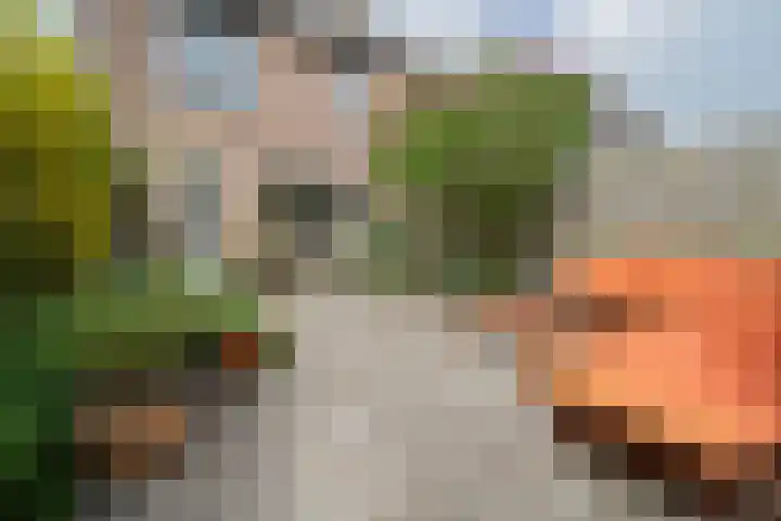 Johanna Naberstraat 2 Heemskerk thumbnail 25
