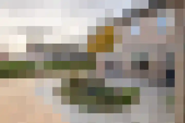 Johanna Naberstraat 2 Tiel thumbnail 4