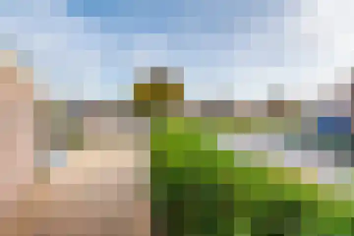 Johanna Naberstraat 2 Tiel thumbnail 8