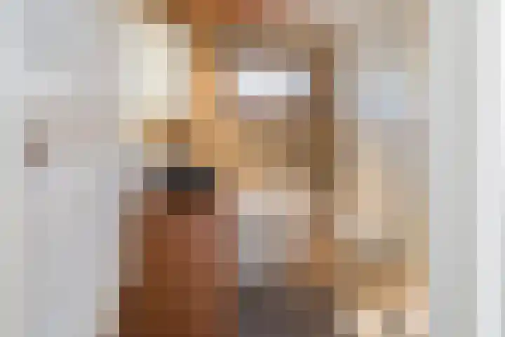 Johanna Naberstraat 2 Velserbroek thumbnail 31