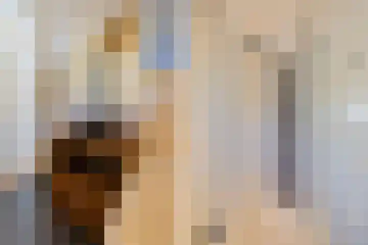 Johanna Naberstraat 2 Velserbroek thumbnail 32