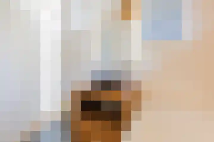 Johanna Naberstraat 2 Velserbroek thumbnail 33