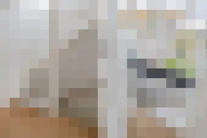 Johanna Naberstraat 2 Velserbroek thumbnail 37