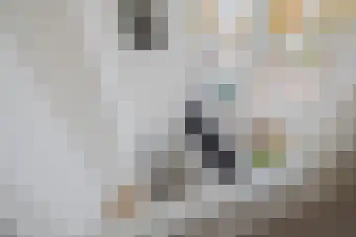 Johanna Naberstraat 2 Velserbroek thumbnail 38