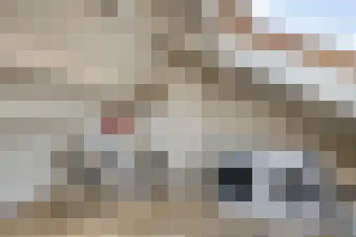 Johanna Naberstraat 35 Purmerend thumbnail 28