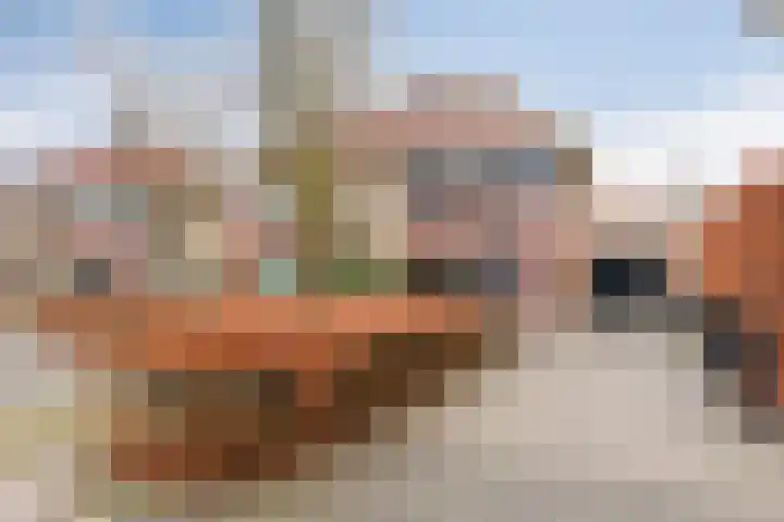 Johanna Naberstraat 4 Rijen thumbnail 26