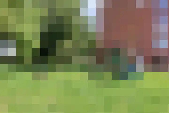 Johanna Naberstraat 43 Purmerend thumbnail 31