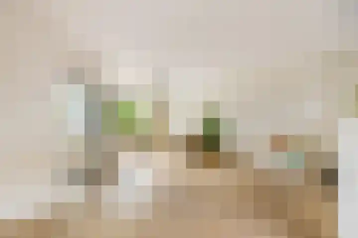 Johanna Naberstraat 5 Heemskerk thumbnail 4